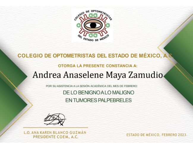 Testimonial - constancia-014.png