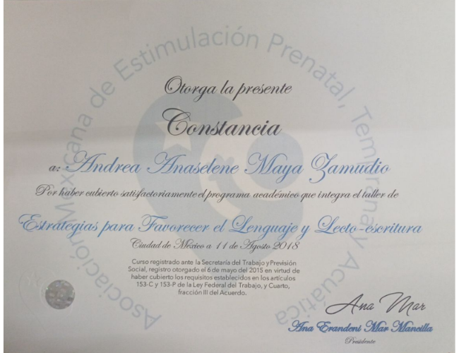 Testimonial - constancia-015.png